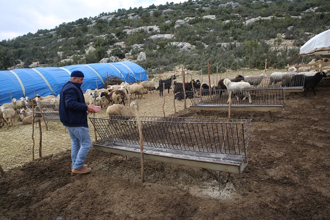 Besicilere Çoban Haritası Desteği