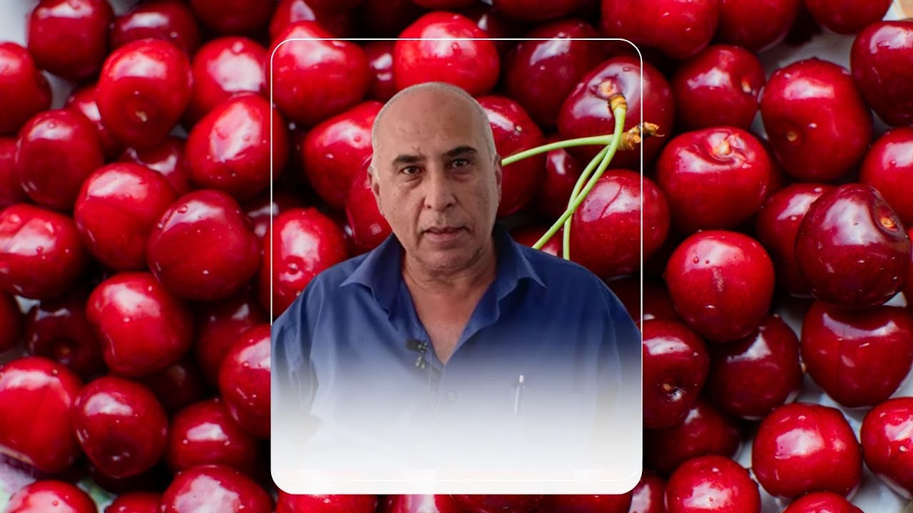 ARİF KOZAK, “TARLAMIZA YOL İSTİYORUZ!”