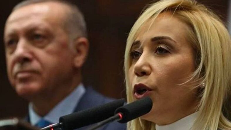erdoğan çokal