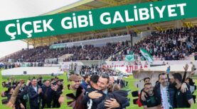 WhatsApp Image 2026-02-08 at 21.51.20 (1)