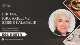 WhatsApp Image 2026-03-30 at 16.56.42