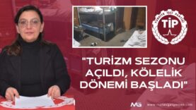 şerife arslan