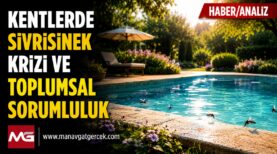kentlerde sivrisinek sorunu