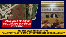 manavgat- haziran meclisi