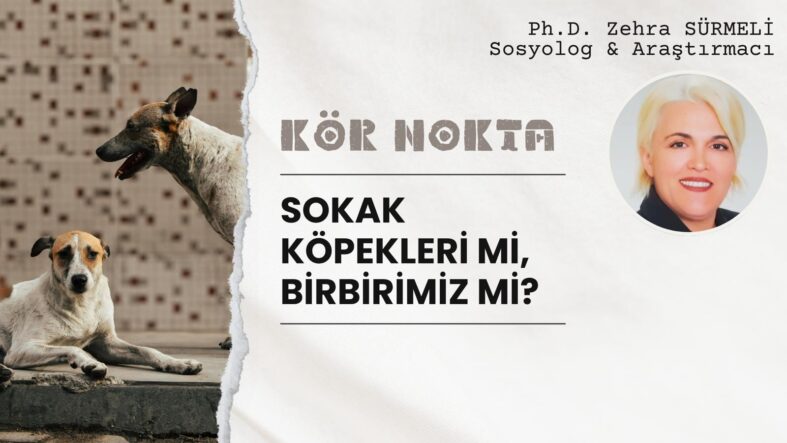 zehra sürmeli 22.06 2026