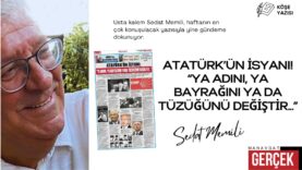 sedat memili