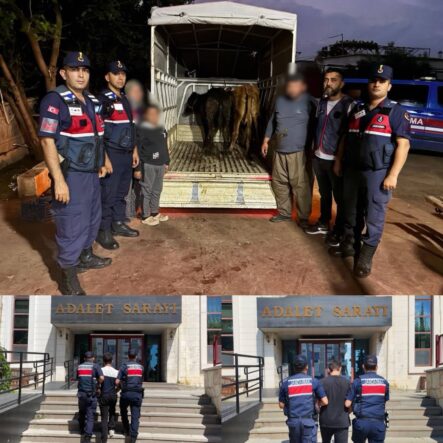 jasat hayvan hırsızlığı