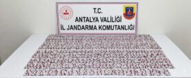 manavgatta uyuşturucu operasyonu
