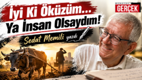 İyi Ki Öküzüm_ Sedat Memili Yazdı